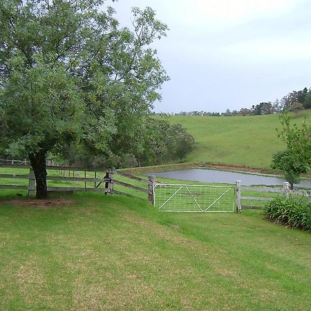 冬宫小屋住宿加早餐旅馆 Kurrajong 外观 照片