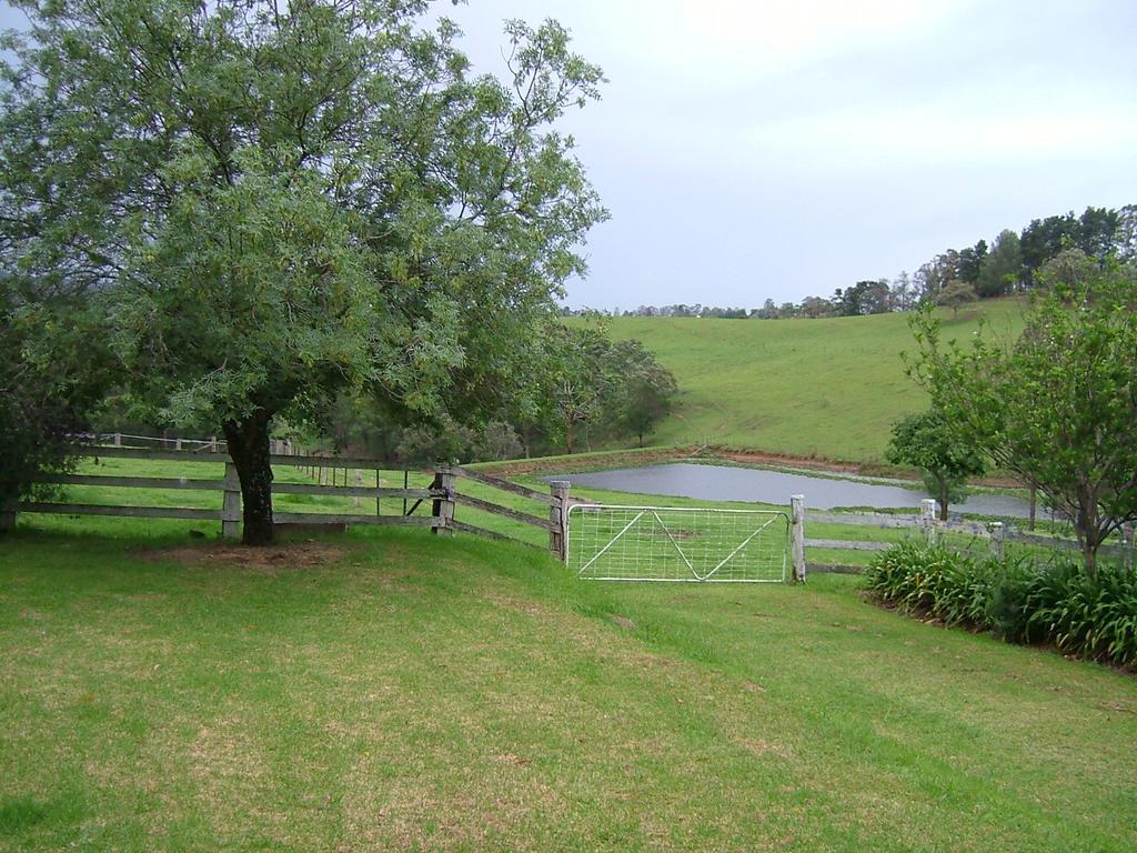 冬宫小屋住宿加早餐旅馆 Kurrajong 外观 照片