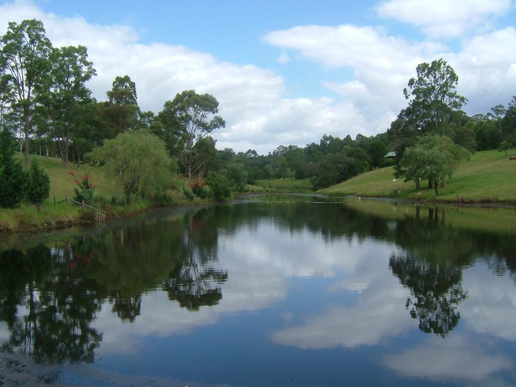 冬宫小屋住宿加早餐旅馆 Kurrajong 外观 照片