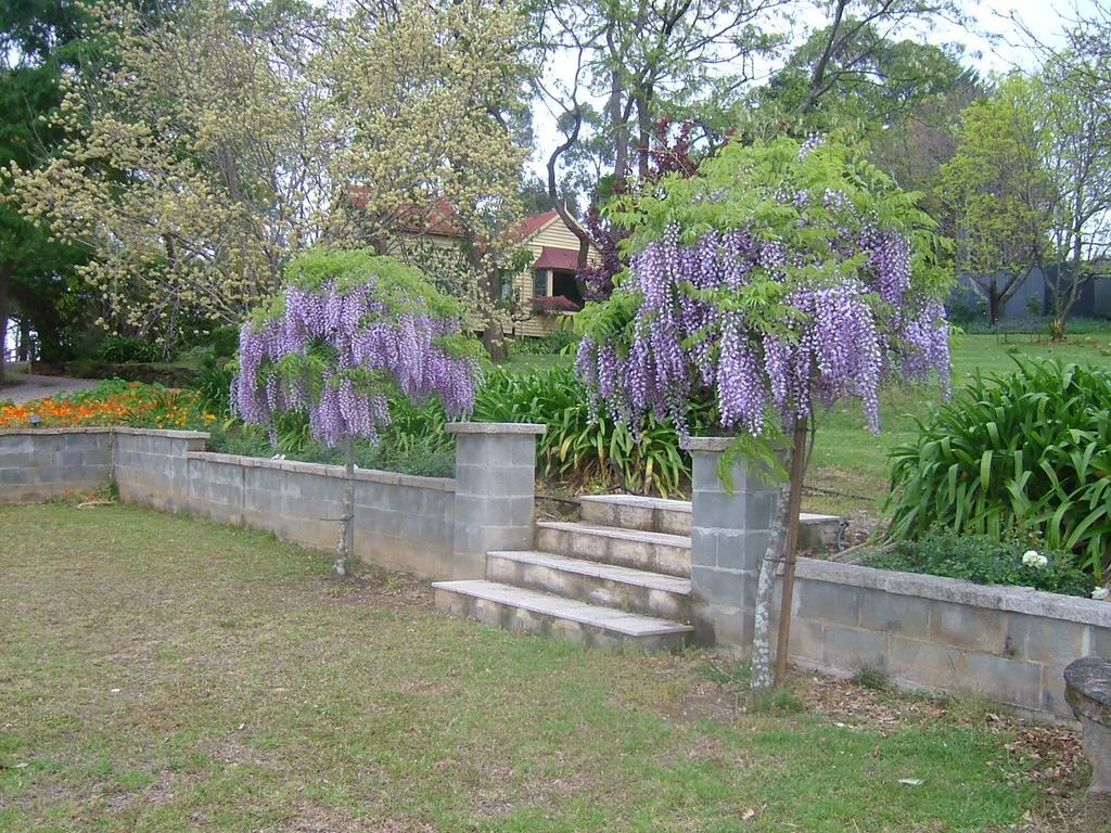 冬宫小屋住宿加早餐旅馆 Kurrajong 外观 照片