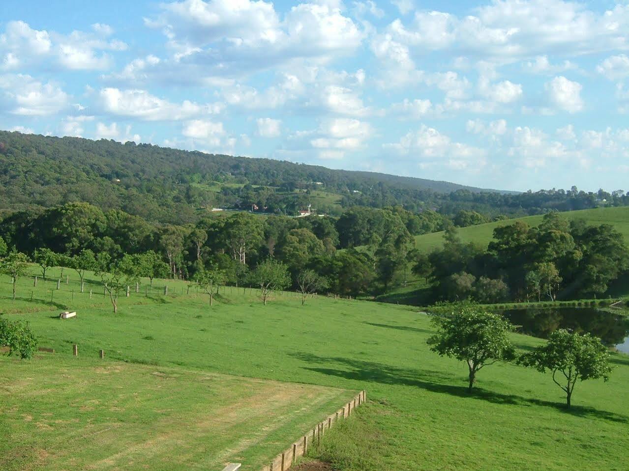 冬宫小屋住宿加早餐旅馆 Kurrajong 外观 照片