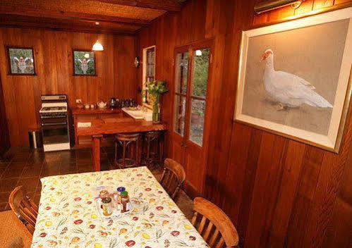 冬宫小屋住宿加早餐旅馆 Kurrajong 外观 照片